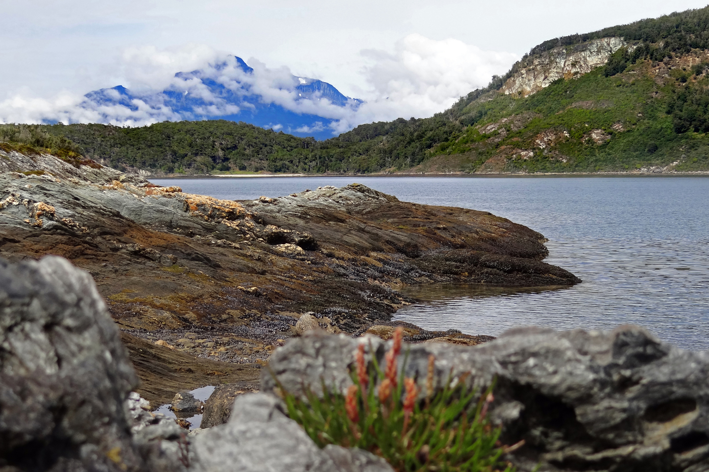 102 tierra del fuego.webp